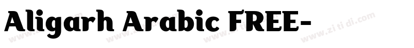 Aligarh Arabic FREE字体转换